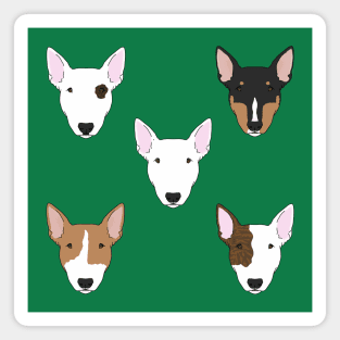 Bull Terriers Magnet